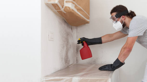 Professional Attic Mold Removal technician working in Carrollton, VA